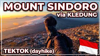 Saya Mencoba Mendaki Gunung Sindoro Sendirian 🇮🇩 | TEKTOK (Pendakian Sehari) via Kledung