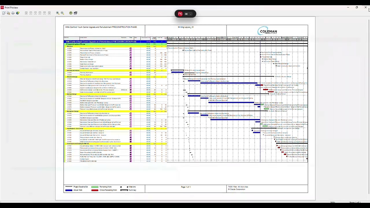 Primavera P6 pdf printing