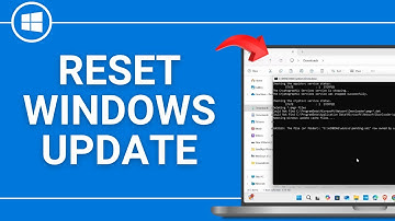 How to Reset Windows Update in Windows 11/10