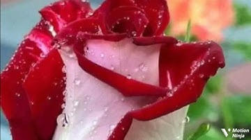 وما كان لبشر أن يكلمه الله إلا وحيا الربع الرابع من الجزء الخامس والعشرون من سورة الشوري الحصري 🌿