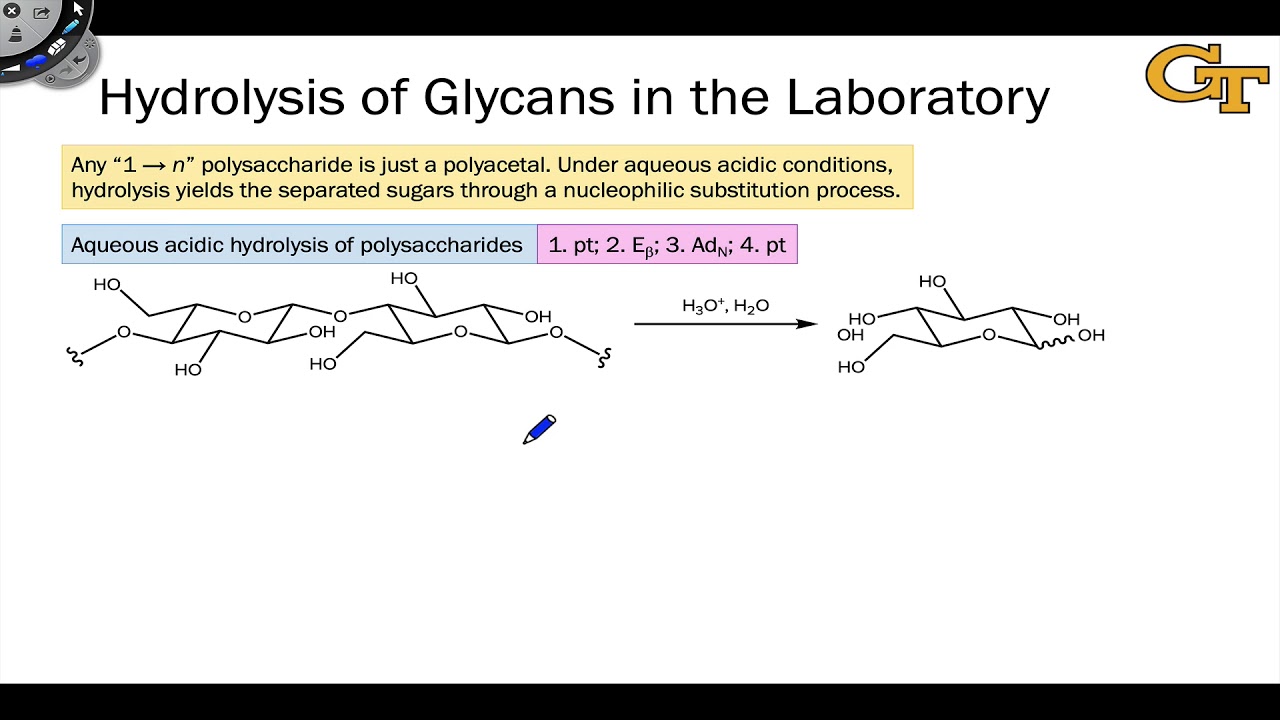 17 08 Reactions Of Polysaccharides YouTube 17-08-reactions-of-polysaccharides-youtube