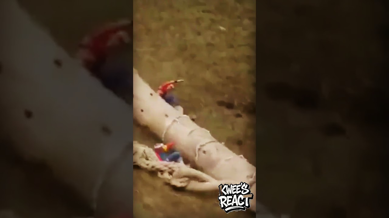 Ombasira is the most dangerous festival in Japan 🤓 