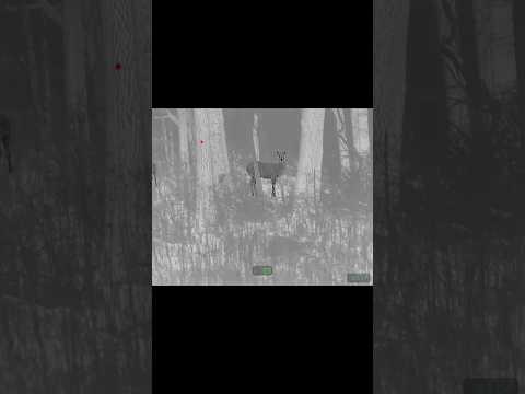 Nighthog Clip on POV