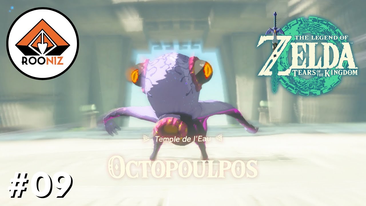 The Legend Of Zelda Tears Of The Kingdom Let