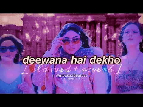 deewana hai dekho (slowed + reverb) LoFi | alka yagnik | sonu nigam | k3g