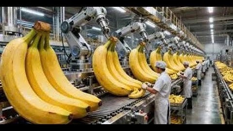 Dried Banana Production Process: From Farm to Final Packaged Product | ProcessHub