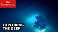 The Fascinating World of Marine Biology: Unlocking the Secrets of the Deep ile ilgili video
