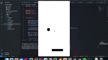 My first C++ SFML game