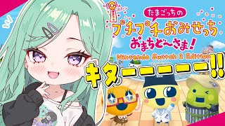 八雲べにの配信のサムネイル画像