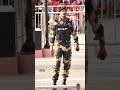BSF #indianarmy #army #motivation #shorts