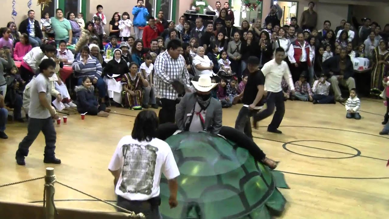 El Baile De La Tortuga - YouTube