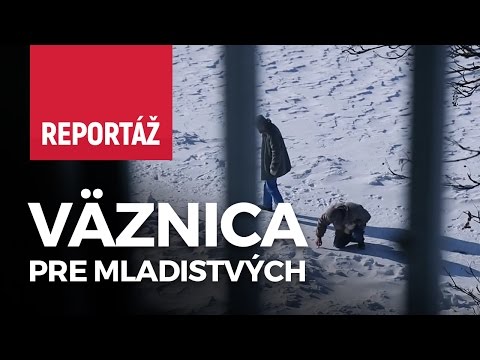 Video: Čo sú akcie a dlhopisy. Rozdiely a riziká