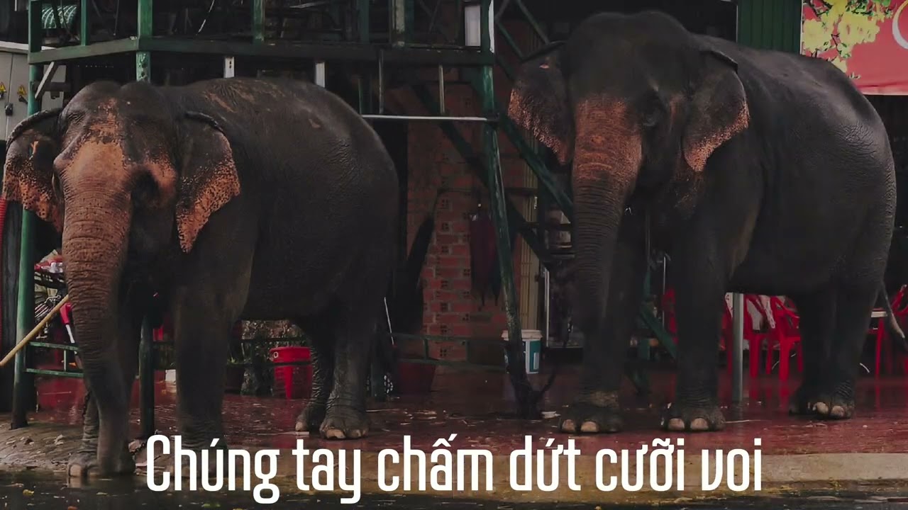 Miền Trung RoadTrip 2025 Day 2