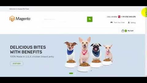How to install Petmark responsive magento 2 theme