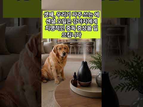 인간이 좋은 냄새, 강아지에게는 치명적인 독?! ❌🐶
