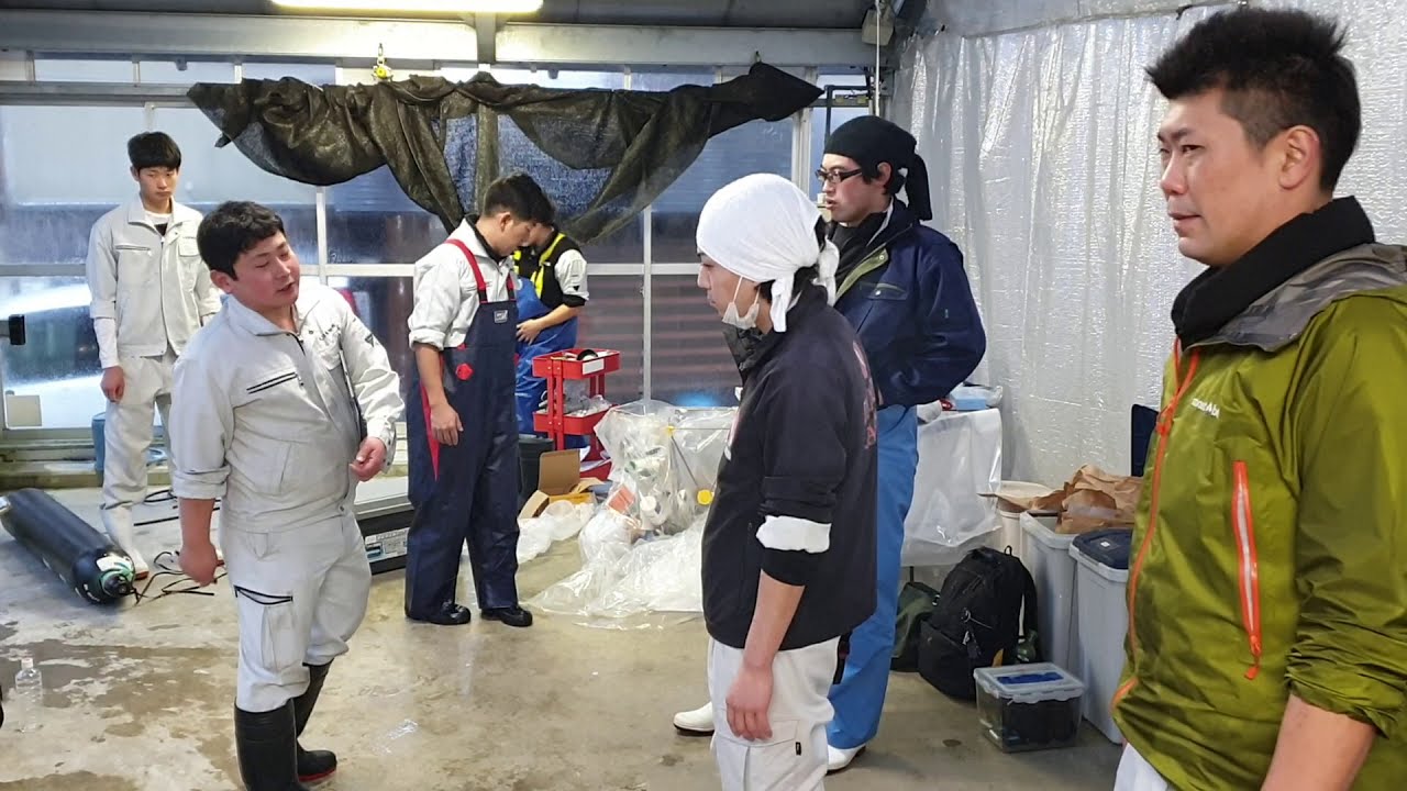 Dainichi goes Shinkokai 2020 part 2