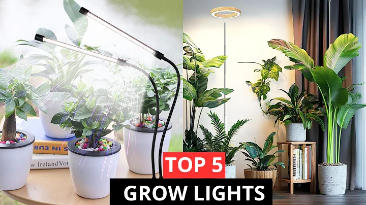 🌱5 Best Grow Lights for Indoor Plants on Amazon 2025