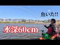 激浅の川でドボンのヘラブナ釣りを楽しむ【茨城県土浦市 桜川と上備前川の合流】