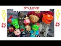 Ella the Puppet comes to life!!