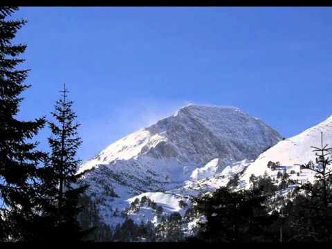 Десилица Що ми се нещо белее