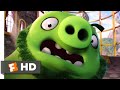 The Angry Birds Movie - Save That Egg! Scene | Fandango Family