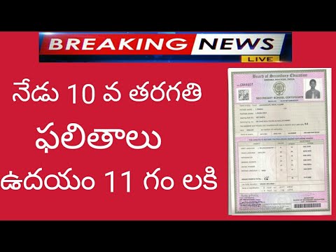 Ap 10 th class results 2019||Ap 10 th class results update latest news