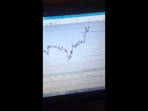 Forex 101 oceansky