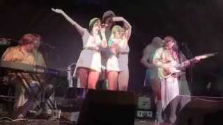ABBA Re Bjรถrn Live Festival gig (www.startribute.co.uk)