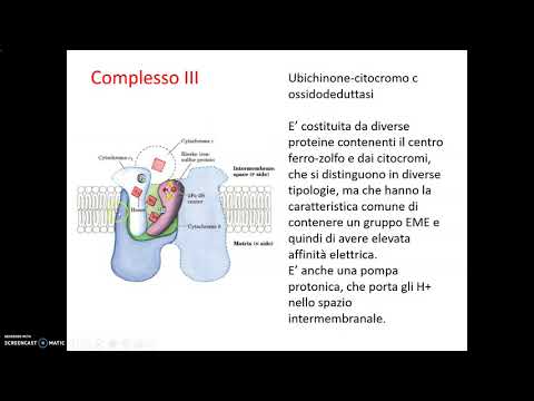 Video: Arabidopsis Thaliana Deidrogenasi Alternative: Una Potenziale Terapia Per La Carenza Del Complesso Mitocondriale I? Prospettive E Insidie