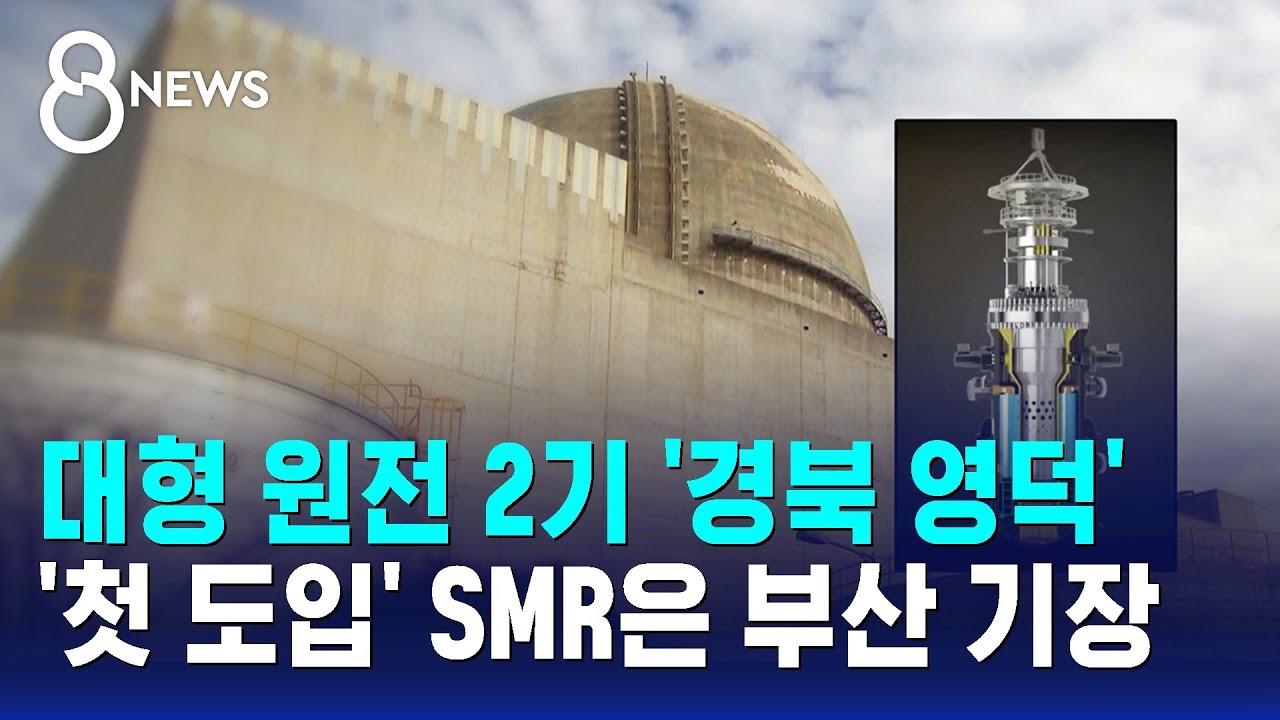 대형 원전 2기 경북 영덕에..'첫 도입' SMR은 부산 기장 / SBS 8뉴스