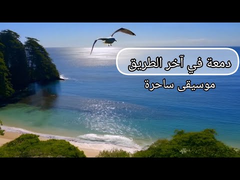 دمعة في اخر الطريق حين يعجز الكلام تتحدث الموسيقى لتأخذك في رحلة بين أمواج البحر وغروب الذكريات