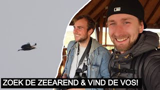 Vlog #177: Vossen & zeearenden scoren in de Oostvaardersplassen!