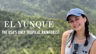 Fun Day Trip to El Yunque, Puerto Rico's Tropical Paradise