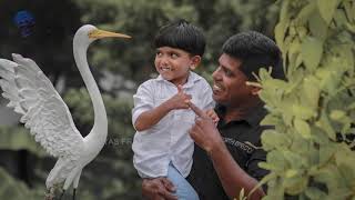 A hollow crane with white cement | വൈറ്റ് സിമന്റ്‌ കൊണ്ടൊരു കിടിലൻ കൊക്ക്