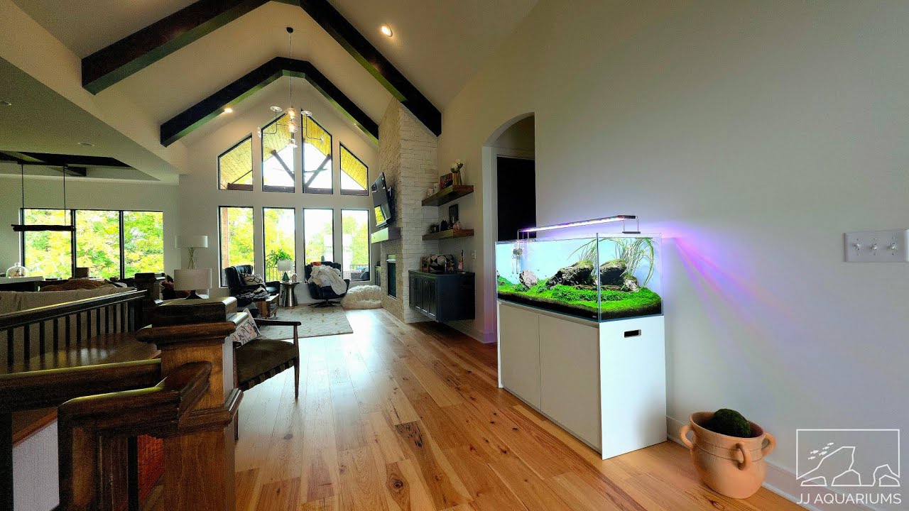 Iwagumi Aquarium Trimming Guide | Carpet Plant Maintenance