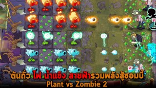 ต้นถั่ว ไฟ น้ำแข็ง สายฟ้ารวมพลังสู้ซอมบี้ Plant vs Zombie 2