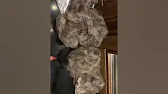 Новости Звезд Шоу Биза