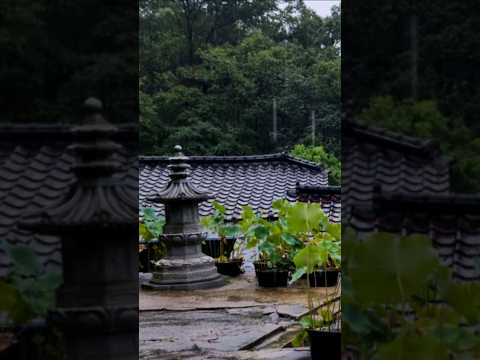 천둥 번개 빗소리 - 한적한 사찰에 처마아래 에서 듣는 비오는 소리 - 불면증 스트레스 해소에 좋아요!