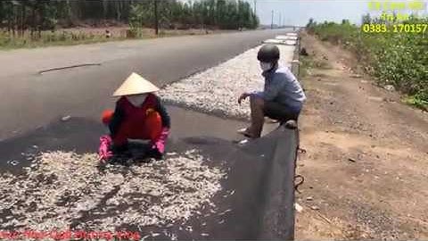 Cá Cơm Đặc Sản Hồ Trị An – Gợi Nhớ Quê Hương Vlog