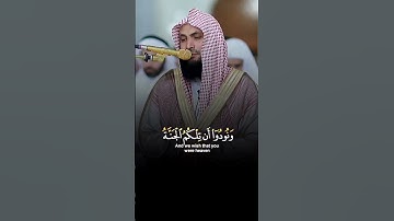 خشوع مميز وهدوء في تلاوة آيات من #سورة الأعراف بصوت القارئ الشيخ #عادل ريان