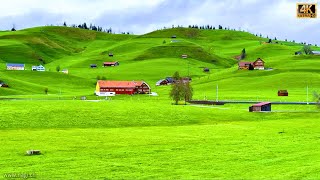 Appenzell Switzerland 4K 🇨🇭 - A Fairytale Swiss Village with Scattered Hamlets | #swiss