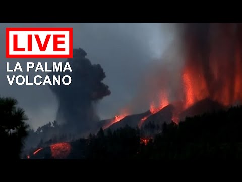 ? LIVE: La Palma Volcano Eruption in the Canary Islands (Feed #1)