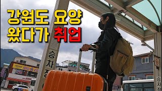 예상 밖의 취업뽀개기