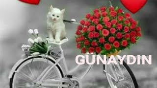 EN YENİ 🌹 GÜNAYDIN MESAJLARI ☕ RESIMLI 💕 VIDEOLU 🌻 WHATSAPP DURUM