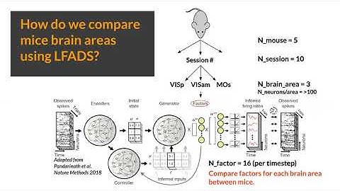 Comparing the neural population dynamics of mice during a visual discrimination task
