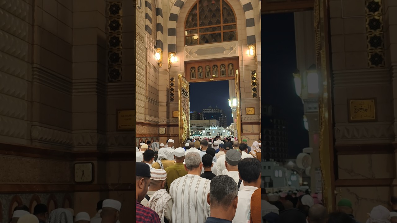 Masjid Nabwi After Fazar Namaz ❤️ Madina Saudi Arabia #shorts #umrah #islamicvideo