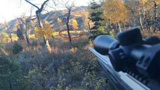 2022 Elk Rifle - Opening Weekend