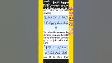 تلاوة خاشعة سورة النحل 18 الاية 55 - 58 قرآن