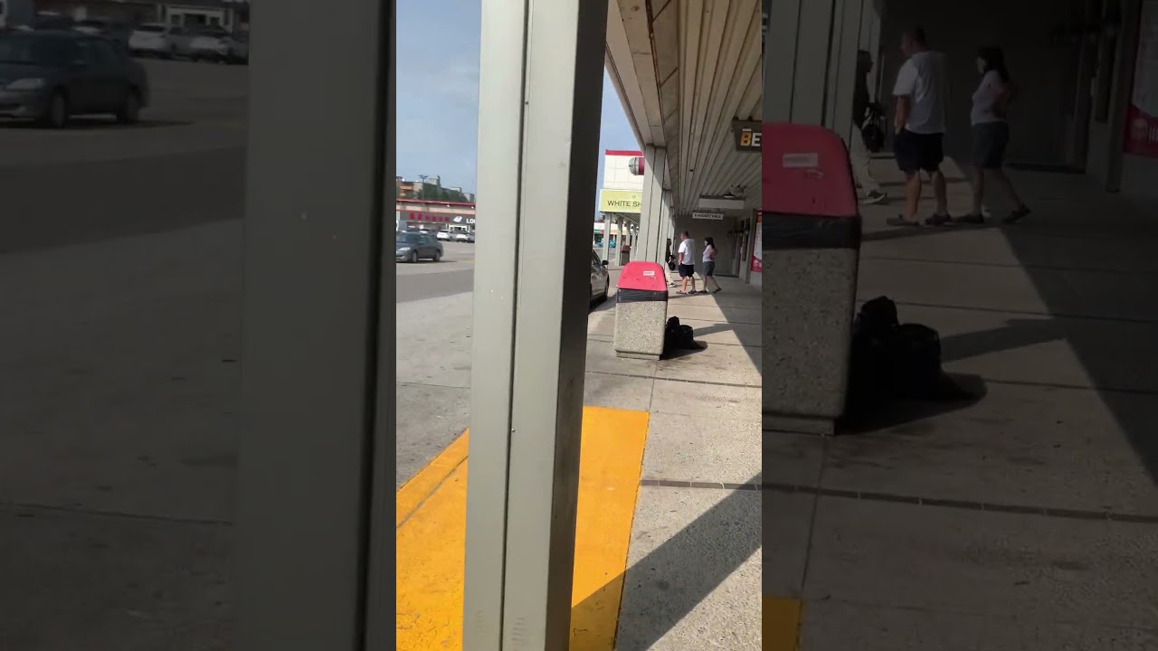 Early Morning Beer Store Line up 🏬