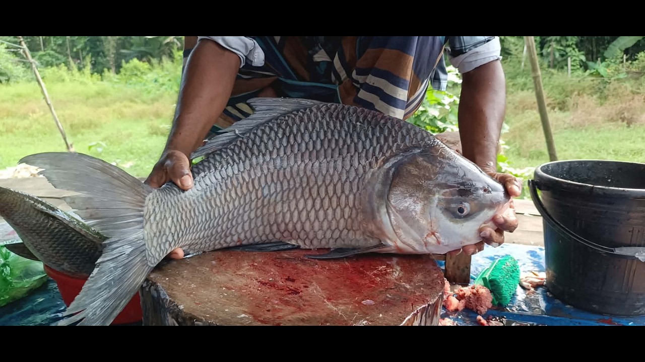 Amazing Cutting Skills | Giant Rohu Fish Cutting Skills By Expert Fish Cutter #fish #fish_cutting